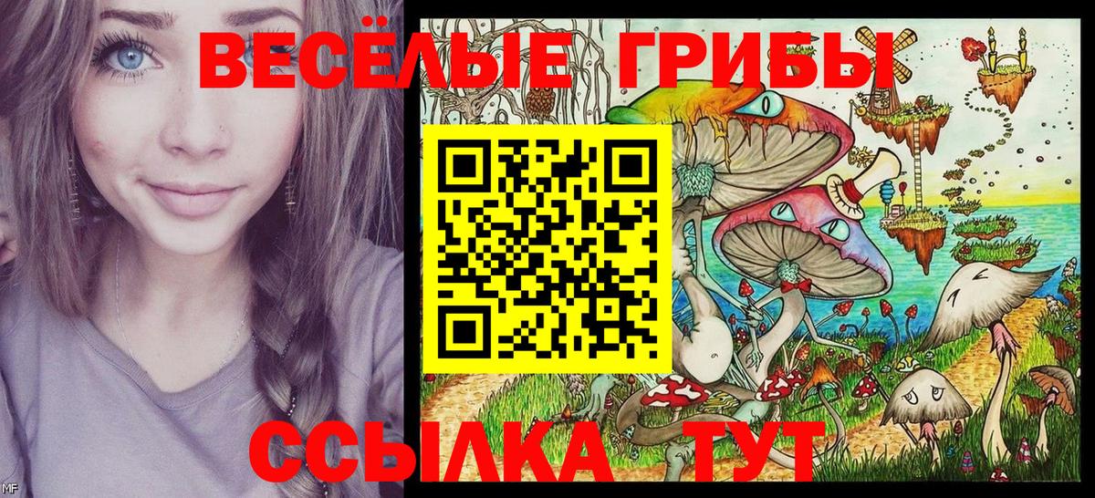 Псилоцибиновые грибы MAGIC MUSHROOMS Чернушка